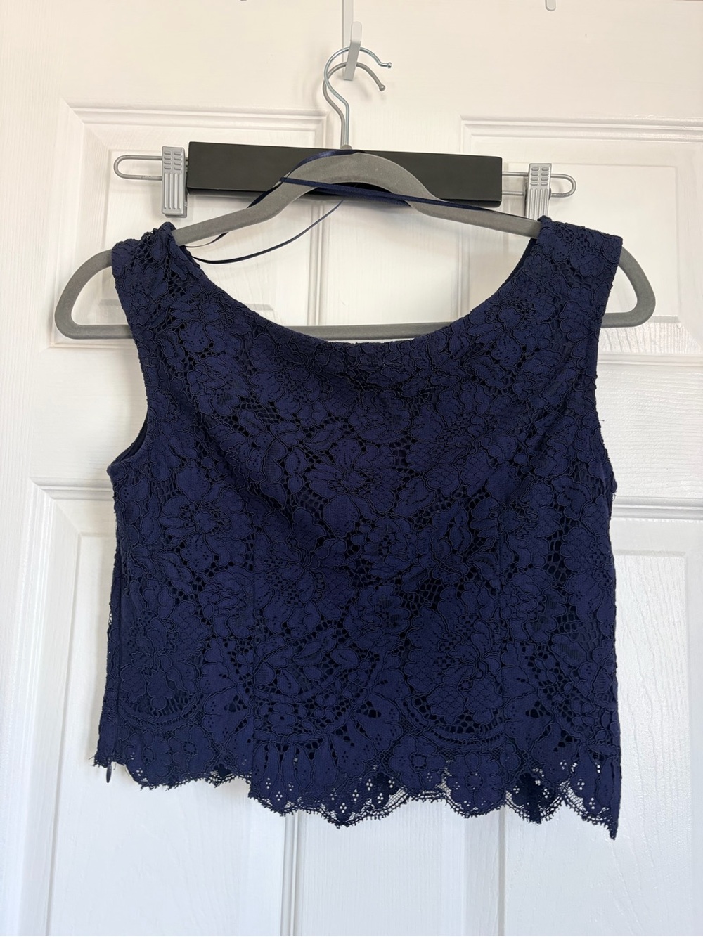 Précis Lace Cropped Sleeveless Top